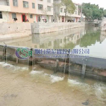 बाढ़ प्रबंधन के लिए स्पिलवे गेट्स