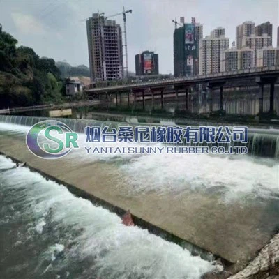 ढहने योग्य स्पिलवे गेट समर्थन बांध