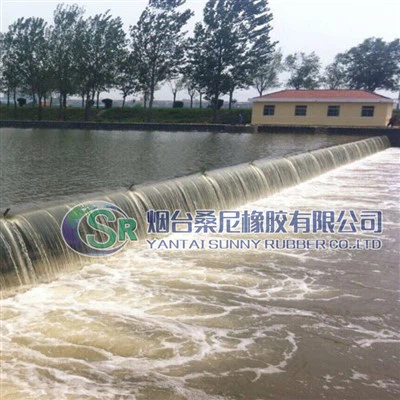 नदी बाढ़ नियंत्रण के लिए वायवीय स्पिलवे गेट